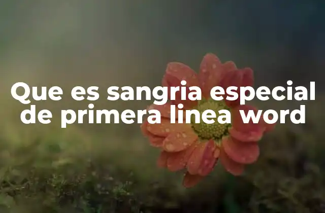 Que es Sangria Especial de Primera Linea Word