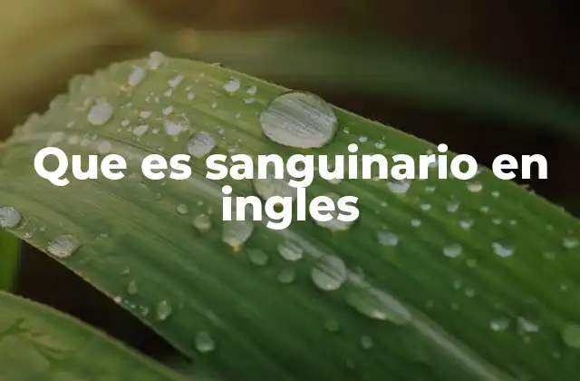 Que es Sanguinario en Ingles