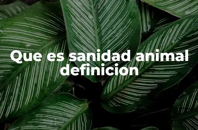 Que es Sanidad Animal Definicion