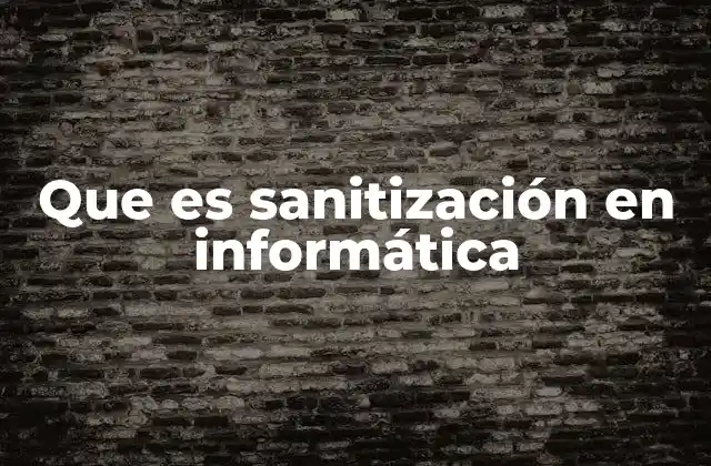 Que es Sanitización en Informática