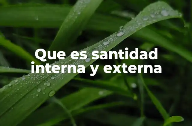 Que es Santidad Interna y Externa