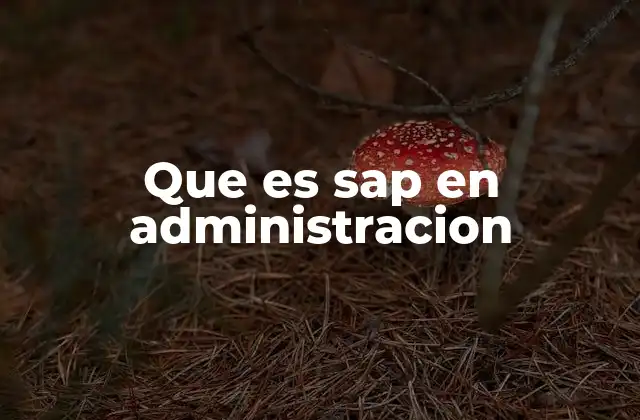 Que es Sap en Administracion