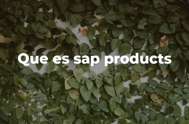 Que es Sap Products