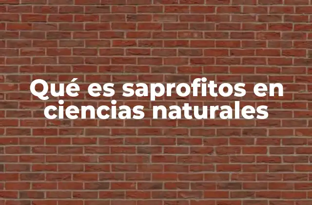 Qué es Saprofitos en Ciencias Naturales