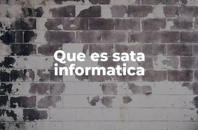 Que es Sata Informatica