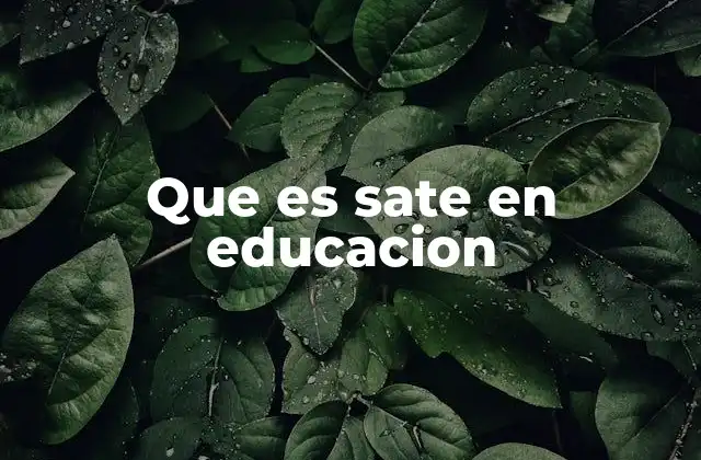 El papel del SATE en el sistema educativo mexicano