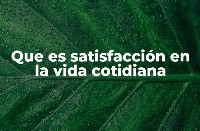 Que es Satisfacción en la Vida Cotidiana