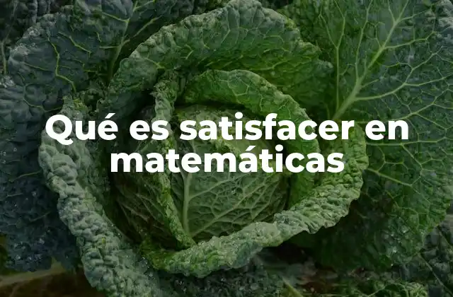 Qué es Satisfacer en Matemáticas 2 Aplicaciones de satisfacción en ecuaciones y desigualdades