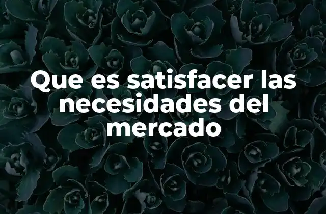 Que es Satisfacer las Necesidades Del Mercado