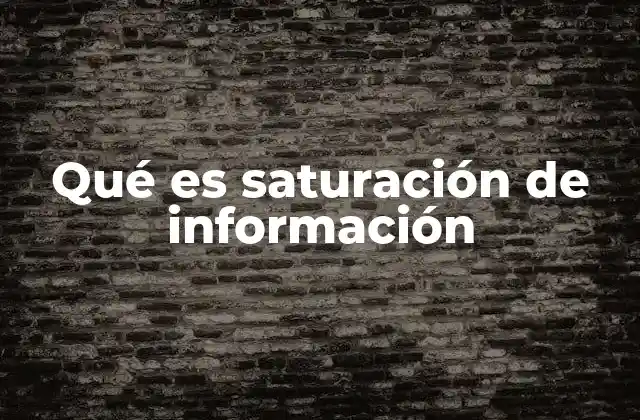 Qué es Saturación de Información