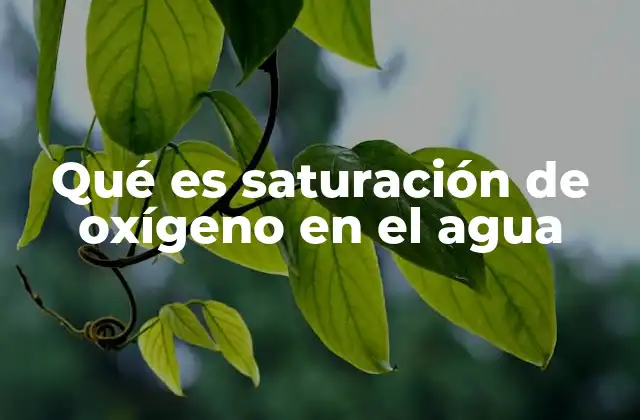Qué es Saturación de Oxígeno en el Agua