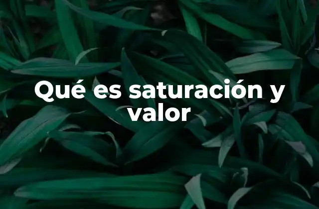 Qué es Saturación y Valor