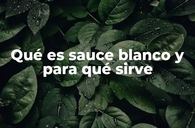 Qué es Sauce Blanco y para Qué Sirve