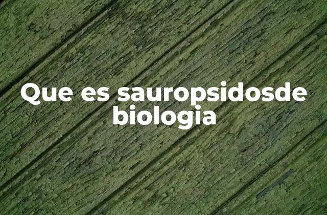Características anatómicas y evolutivas de los sauropsidos