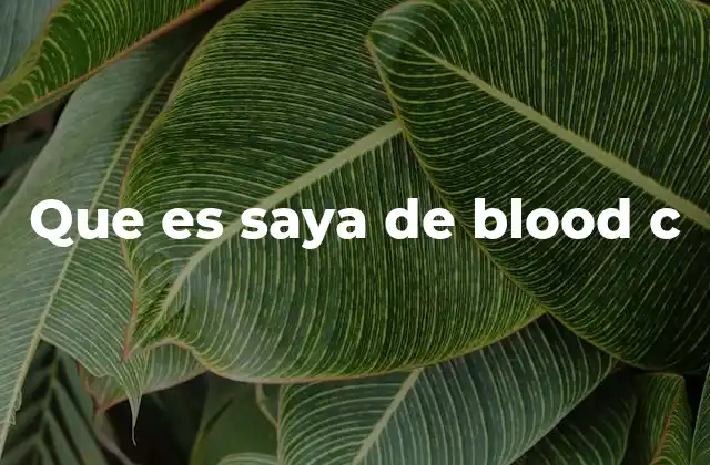 Que es Saya de Blood C