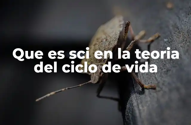 Que es Sci en la Teoria Del Ciclo de Vida
