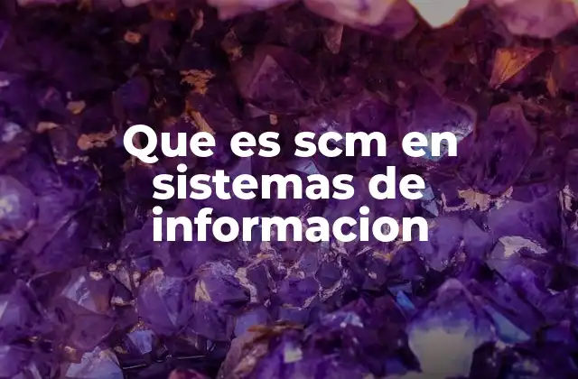 Que es Scm en Sistemas de Informacion