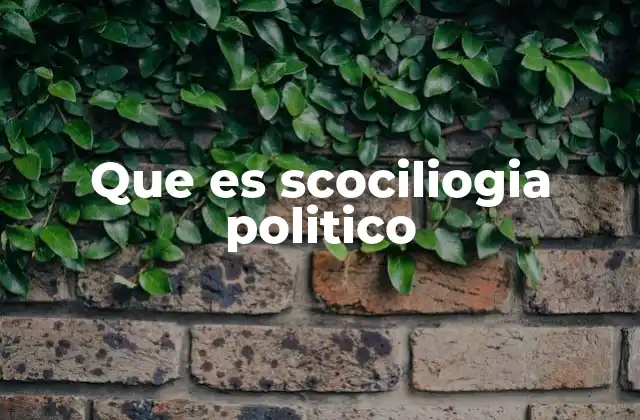 Que es Scociliogia Politico