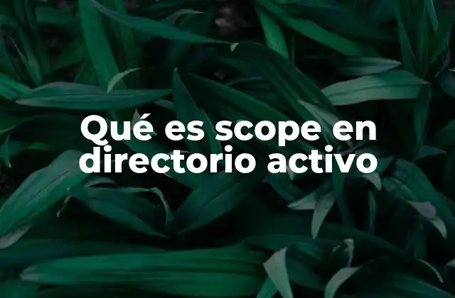 Qué es Scope en Directorio Activo