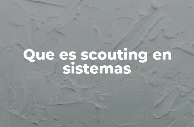 Que es Scouting en Sistemas