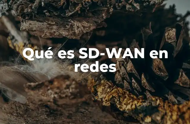 Qué es Sd-wan en Redes