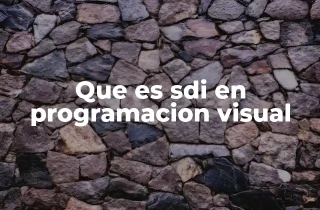 Que es Sdi en Programacion Visual