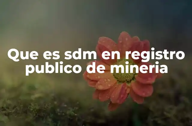 El rol del Sistema Digital Minero en la gestión minera