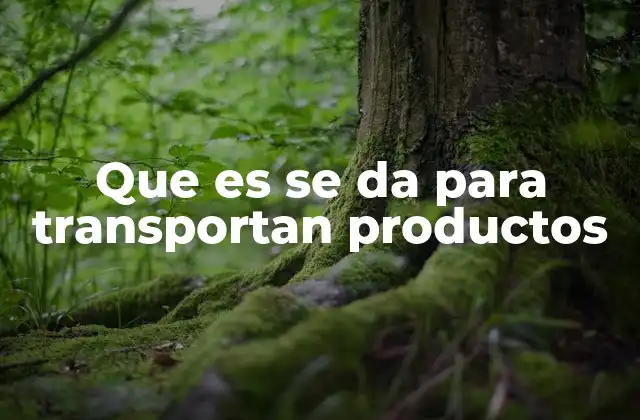 Que es Se Da para Transportan Productos