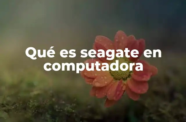 Qué es Seagate en Computadora