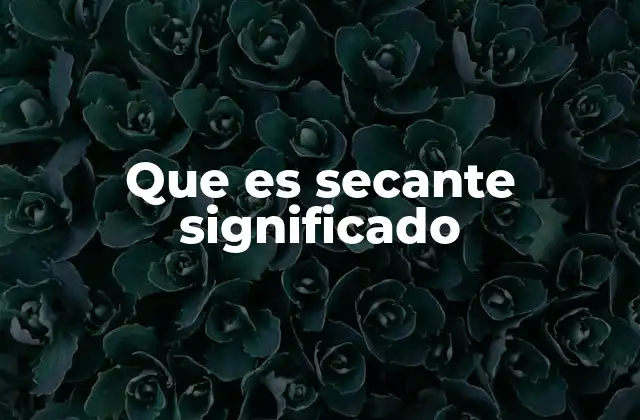Que es Secante Significado 2 El uso de la secante en geometría