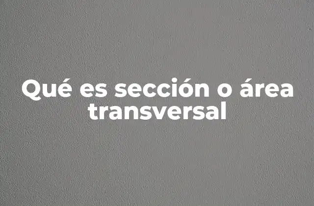 Qué es Sección o Área Transversal