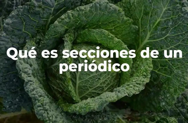 Qué es Secciones de un Periódico