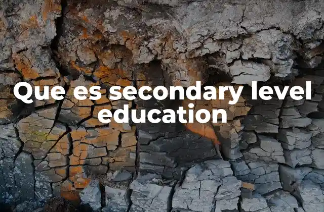 Que es Secondary Level Education