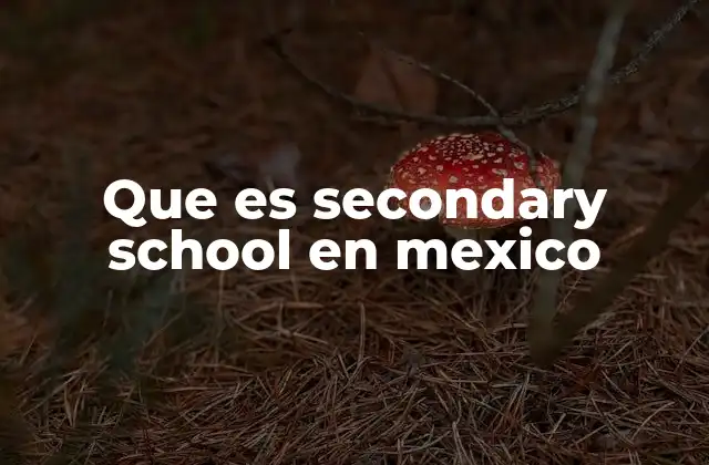 La importancia del secondary school en la formación educativa mexicana
