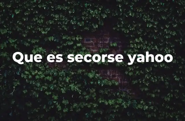 Que es Secorse Yahoo 2 La evolución de Yahoo como motor de búsqueda
