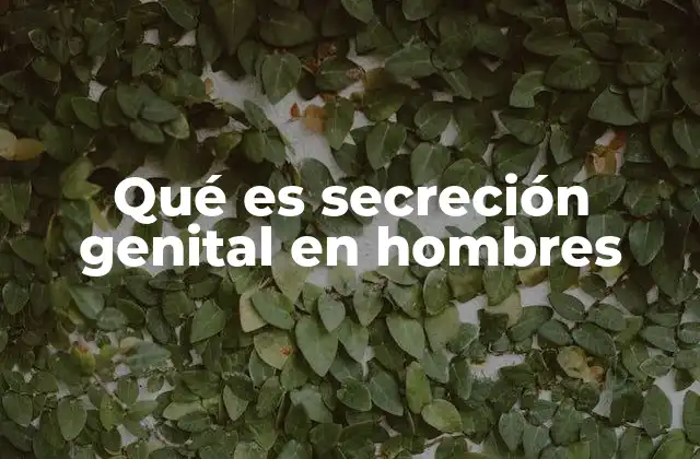 Qué es Secreción Genital en Hombres