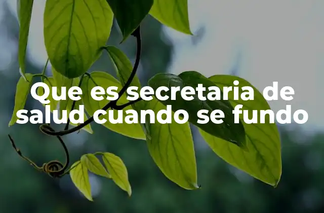 Que es Secretaria de Salud Cuando Se Fundo 2 La evolución histórica de las instituciones de salud en México