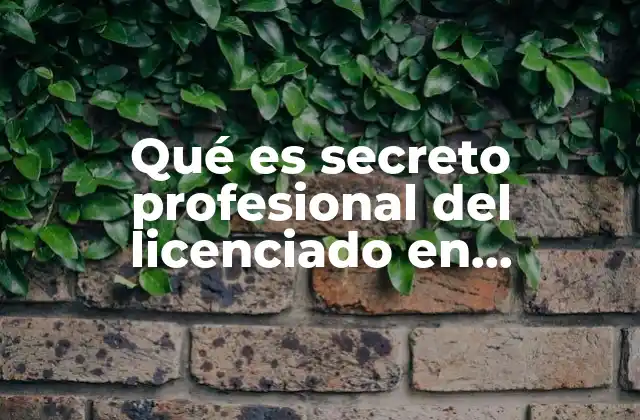 Qué es Secreto Profesional Del Licenciado en Administración