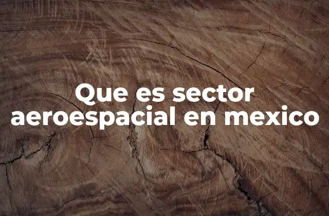 Que es Sector Aeroespacial en Mexico