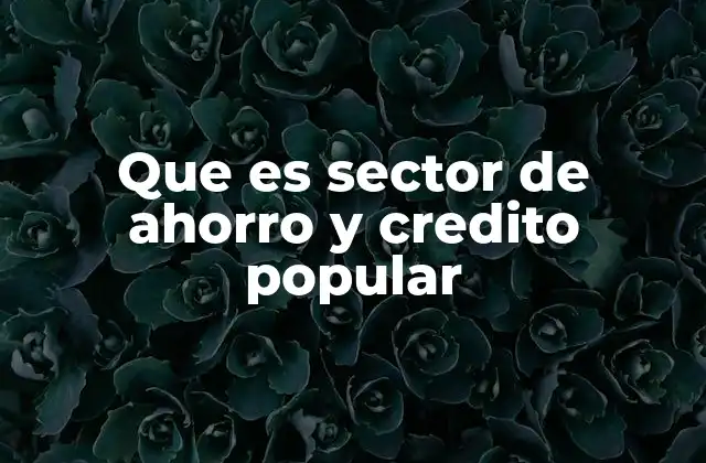 Que es Sector de Ahorro y Credito Popular
