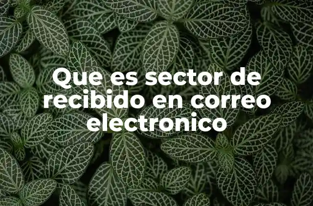 La importancia del sector de recibido en la gestión diaria de correos