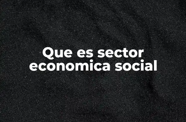 Que es Sector Economica Social