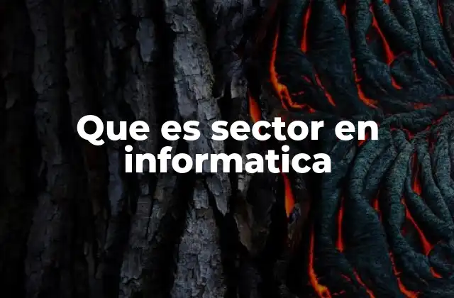 Que es Sector en Informatica