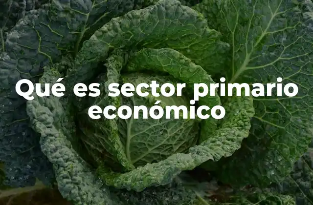 Qué es Sector Primario Económico