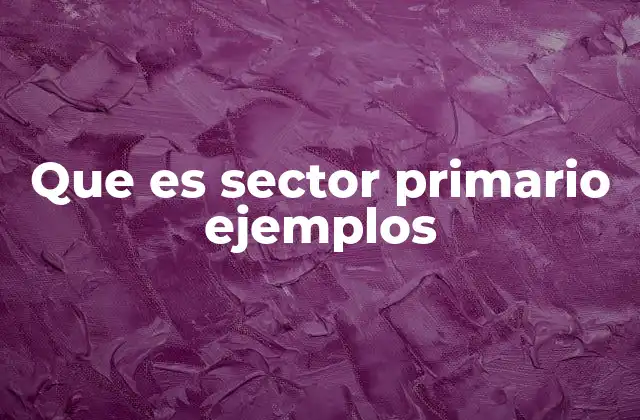 Que es Sector Primario Ejemplos
