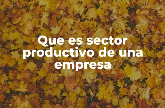 Que es Sector Productivo de una Empresa