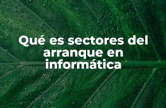 Qué es Sectores Del Arranque en Informática