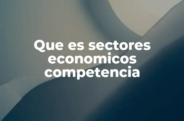Que es Sectores Economicos Competencia