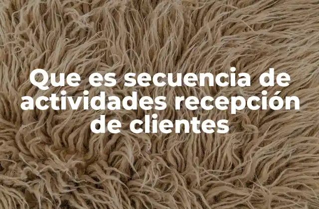 Que es Secuencia de Actividades Recepción de Clientes