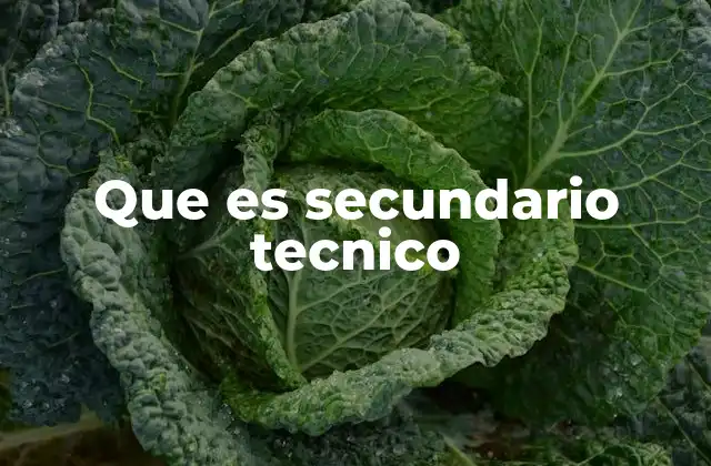 Que es Secundario Tecnico 2 Diferencias entre el secundario técnico y el tradicional